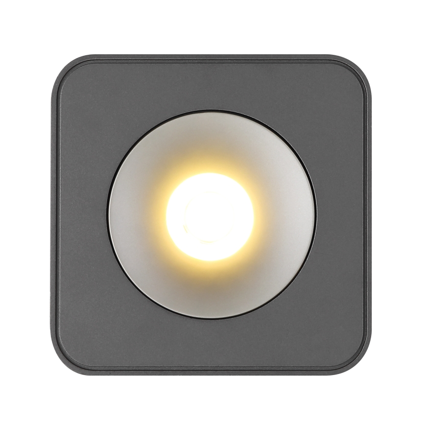 Plafonieră LED Globo LED/6,5W/230V 11,7x11,7 cm