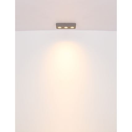 Plafonieră LED Globo LED/14W/230V 11,7x33,2 cm