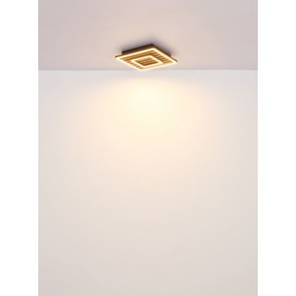 Plafonieră LED Globo LED/18W/230V 3000K 30x30 cm