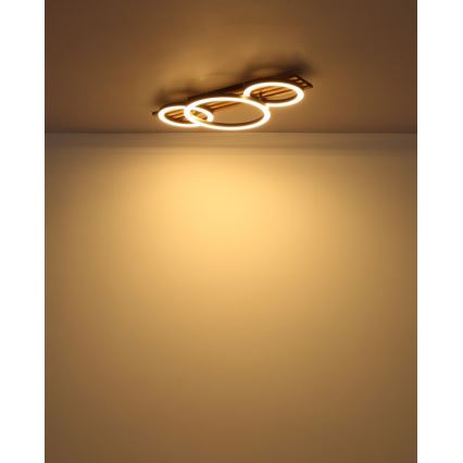 Plafonieră LED Globo LED/24W/230V 3000K 30x62 cm