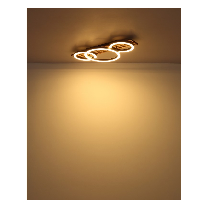 Plafonieră LED Globo LED/24W/230V 3000K 30x62 cm