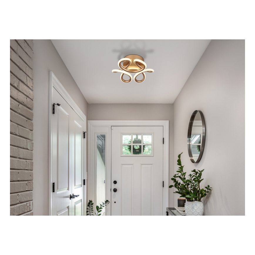 Plafonieră LED Globo LED/24W/230V 2700/4000/6000K d. 26 cm auriu