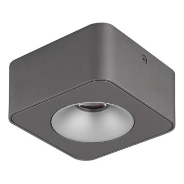 Plafonieră LED Globo LED/6,5W/230V 11,7x11,7 cm