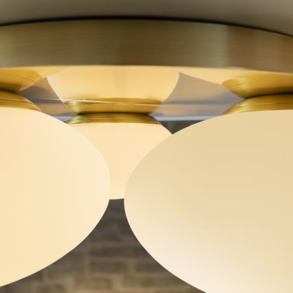 Plafonieră LED Ideal Lux NINFEA 3xLED/9W/230V auriu