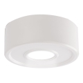 Plafonieră LED IL LED/10W/230V 3000K CRI 90 albă Shilo