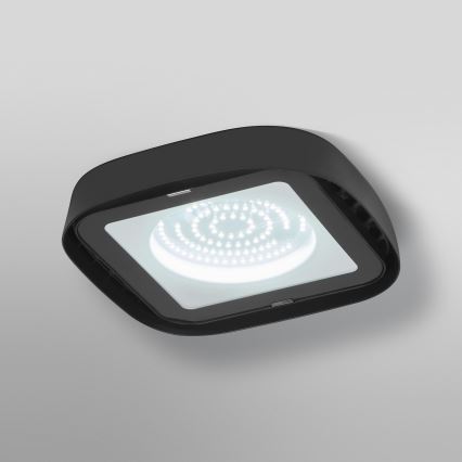 Plafonieră LED industrială Ledvance HIGHBAY LED/80W/230V IP65 6500K