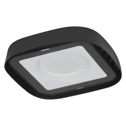 Plafonieră LED industrială Ledvance HIGHBAY LED/80W/230V IP65 6500K