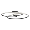 Plafonieră LED JUST LIGHT. 15321-18 LUMACA LED/33W/230V negru