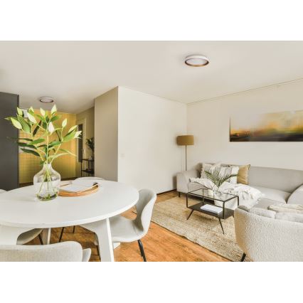 Plafonieră LED SOLN LED/17,5W/230V d. 38 cm alb/auriu