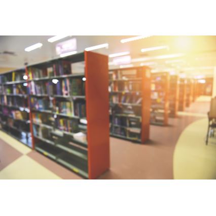 Plafonieră LED LINCEA LED/30/38/45W/230V 3000/4000/6500K IK08 IP40