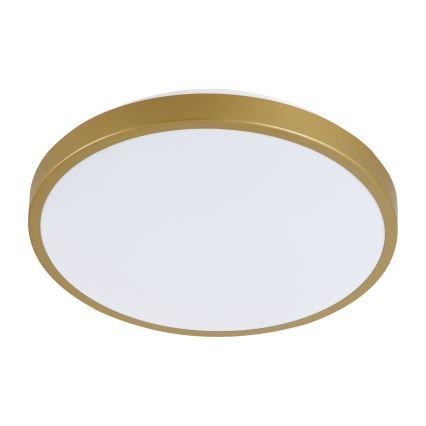 Plafonieră LED KERN LED/24W/230V d. 39 cm