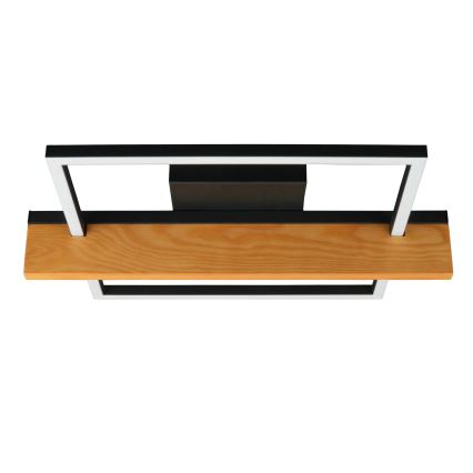 Plafonieră LED LARYSA, 11,5W/230V, 35x45 cm, pin