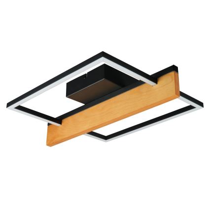 Plafonieră LED LARYSA, 11,5W/230V, 35x45 cm, pin