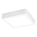 Plafonieră LED LED/18W/230V 17 cm Rabalux