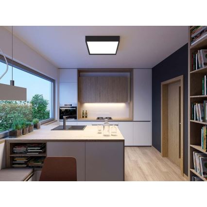 Plafonieră LED LED2 MILO LED/30W/230V neagră 3000/4000K