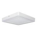 Plafonieră LED Ledvance SQUARE LED/18W/230V