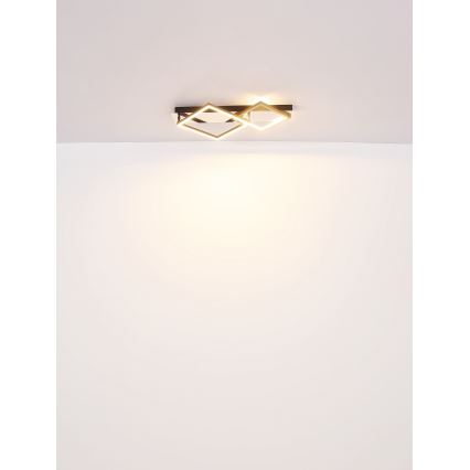 Plafonieră LED Globo LED/24W/230V 3000K