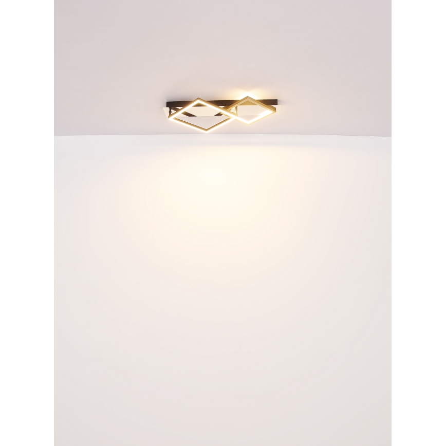 Plafonieră LED Globo LED/24W/230V 3000K