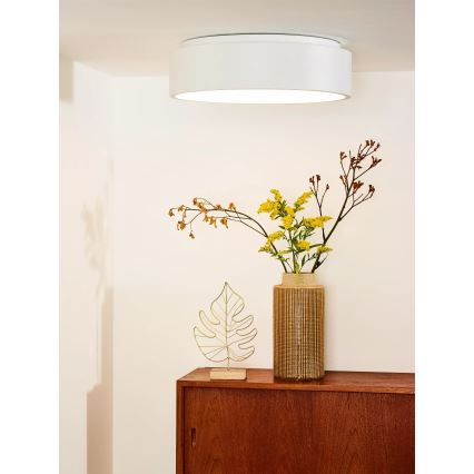 Plafonieră LED dimabilă Lucide 46100/32/31 TALOWE LED LED/30W/230V