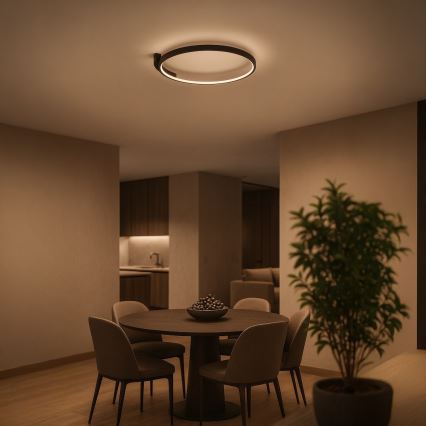 Plafonieră LED LUNA, 18W, 230V, Ø 42,5 cm, neagră