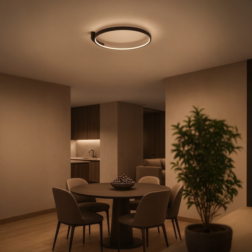 Plafonieră LED LUNA, 18W, 230V, Ø 42,5 cm, neagră