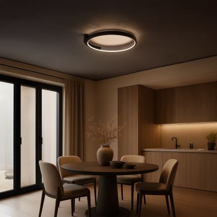Plafonieră LED LUNA, 18W, 230V, Ø 42,5 cm, neagră