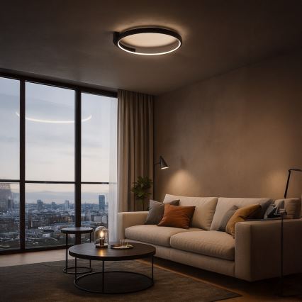 Plafonieră LED LUNA, 18W, 230V, Ø 42,5 cm, neagră