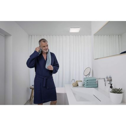 Plafonieră LED LUNIVE LED/19W/230V Ledvance