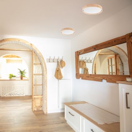 Plafonieră LED MANAROLA SIMPLE Brilagi LED/24W/230V 3000K pin d. 41 cm