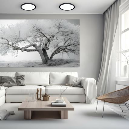 Plafonier LED MAQ LED/24W/230V 3000/4000/6500K IP40 negru