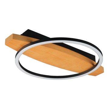 Plafonieră LED MELISA, 12 W, 230 V, 30 x 40 cm, pin