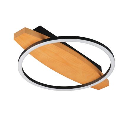 Plafonieră LED MELISA, 12 W, 230 V, 30 x 40 cm, pin