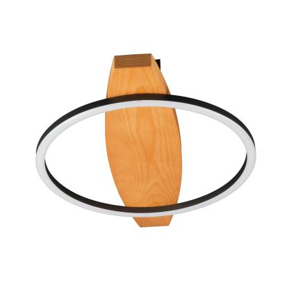 Plafonieră LED MELISA, 12 W, 230 V, 30 x 40 cm, pin