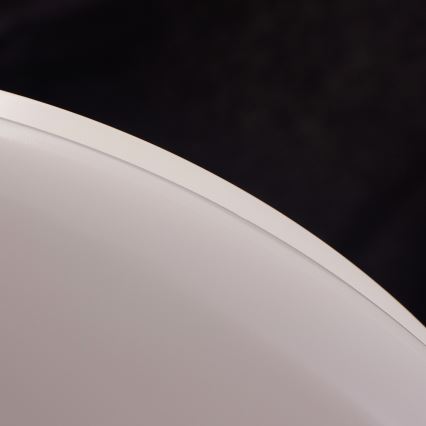 Plafonieră LED 1xLED/17W/230V 2700K Philips