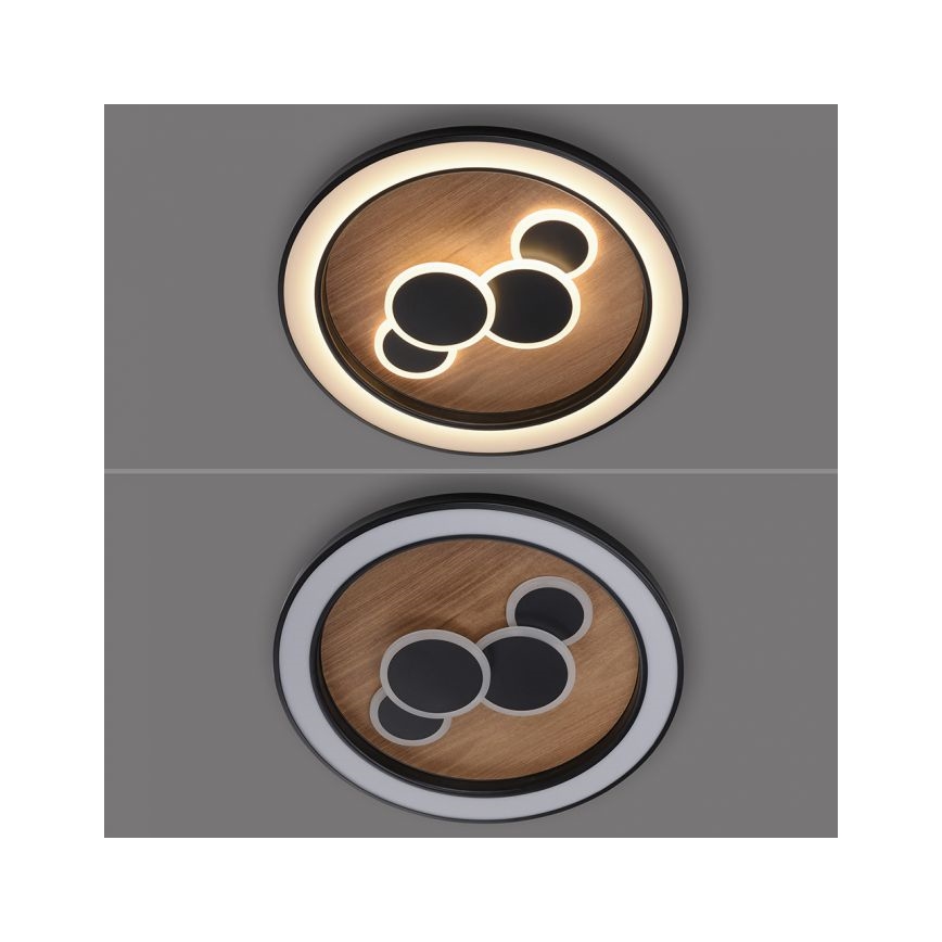 Plafonieră LED Paul Neuhaus 6284-79 ELIZA LED/55,5W/230V d. 60 cm stejar