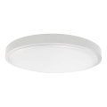 Plafonieră LED pentru baie, 18W, 230V, 4000K, IP44, Ø25 cm, alb