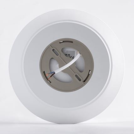 Plafonieră LED pentru baie AVESTA LED/12W/230V 4000K IP54