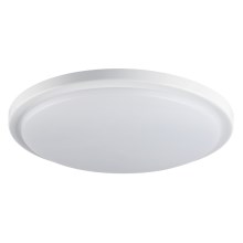Plafonieră LED pentru baie cu senzor ORTE LED/24W/230V IP54