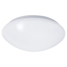 Plafonieră LED pentru baie cu senzor REVA LED/12W/230V IP44