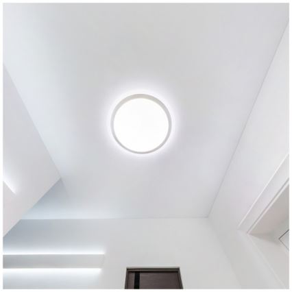 Plafonieră LED pentru baie DEFENDER LED/12/18/24W/230V 3000/4000/6500K IP65 diam. 30 cm albă