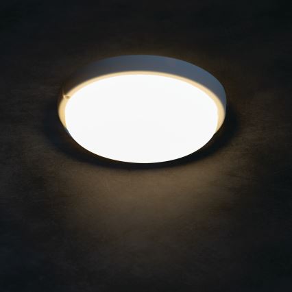 Plafonieră LED pentru baie TOLU LED/9W/230V 4000K IP54 alb
