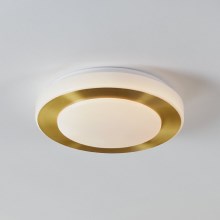 Plafonieră LED pentru baie LED/10,8W/230V IP44 Eglo