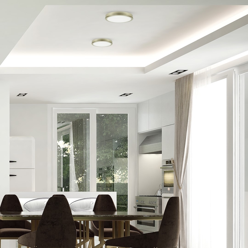 Plafonieră LED pentru baie LED/18W/230V IP65 aurie