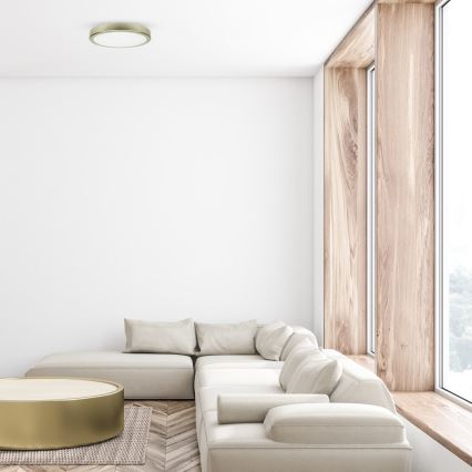 Plafonieră LED pentru baie LED/18W/230V IP65 aurie