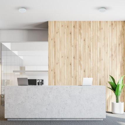 Plafonieră LED pentru baie MARLON LED/12W/230V Ø 18 cm IP54 albă