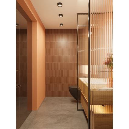 Plafonieră LED pentru baie MAXLIGHT C0204 KODAK LED/8W/230V d. 10,8 cm IP44 negru