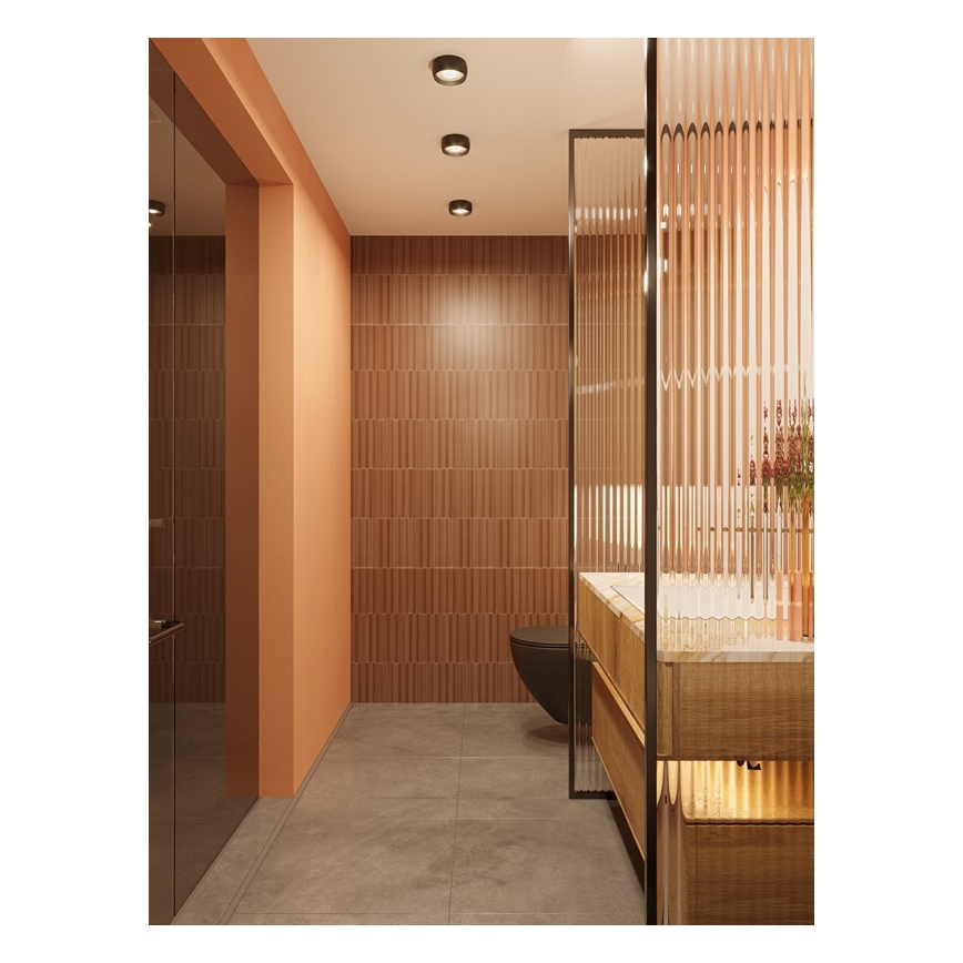 Plafonieră LED pentru baie MAXLIGHT C0204 KODAK LED/8W/230V d. 10,8 cm IP44 negru