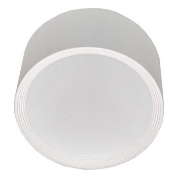 Plafonieră LED pentru baie PERCI LED/20W/230V IP40 4000K alb