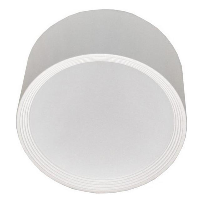 Plafonieră LED pentru baie PERCI LED/20W/230V IP40 4000K alb