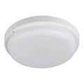 Plafonieră LED pentru baie TOLU LED/18W/230V 4000K IP54 alb